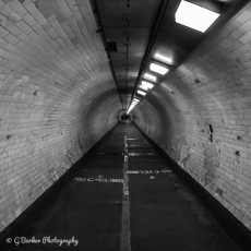 The Tunnel