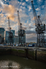 The Wharf Cranes at West India Dock