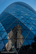 Reflections on the Gherkin