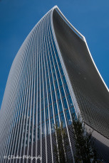 The Walkie Talkie